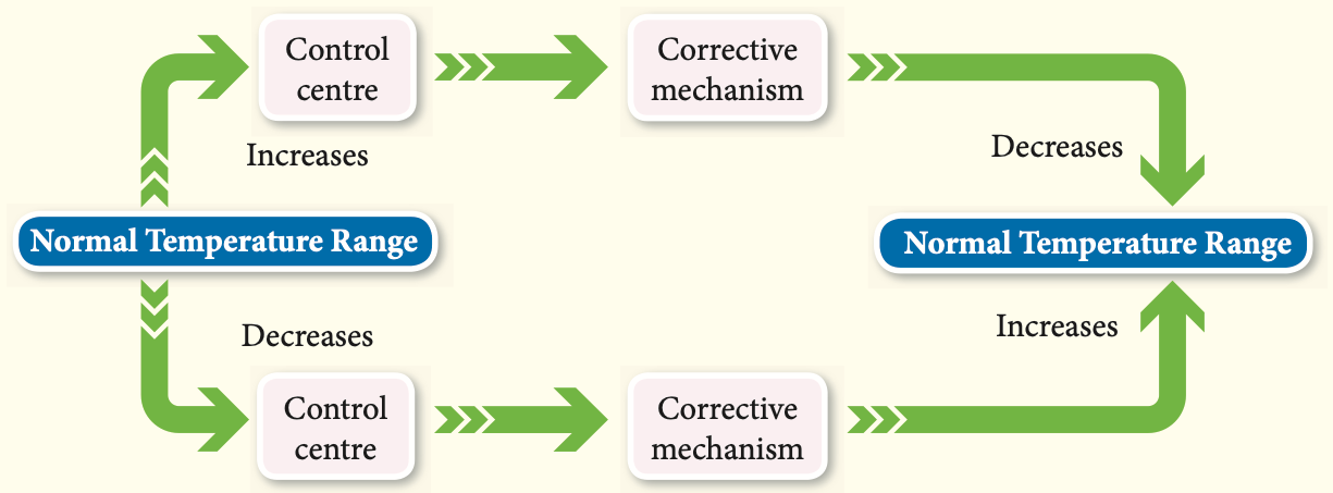 Flow chart: normal range, change detected by the control centre, corrective mechanism, back to the normal range