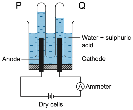 Electrolysis of water; gas P collects above the anode, gas Q above the cathode