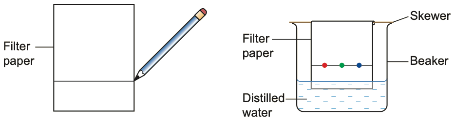 Filter paper with a pencil line and ink dots hanging in a beaker of water