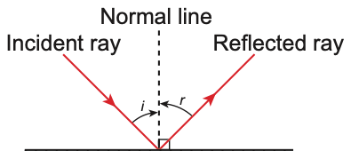 Incident ray and reflected ray on either side of the normal line at a plane mirror, with angles i and r