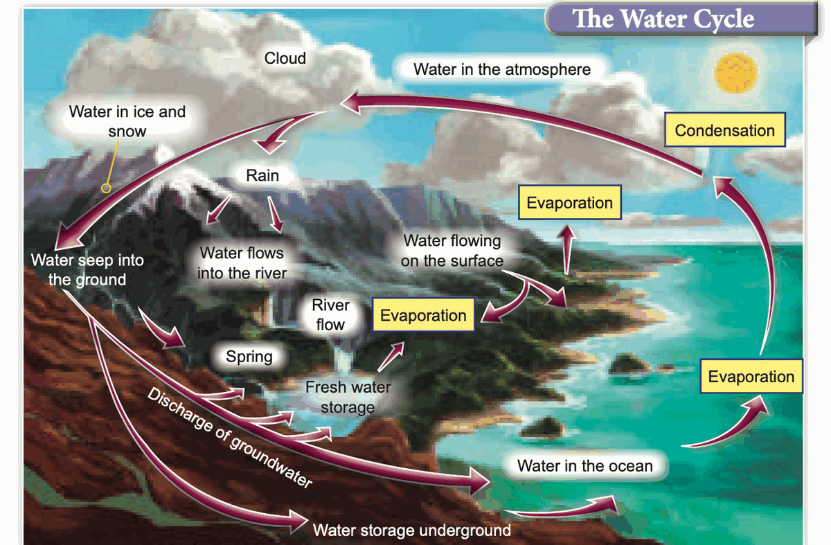 The water cycle: evaporation, condensation, rain, surface flow and underground water
